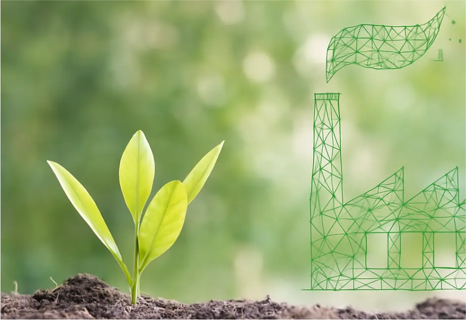 Environmental Responsibility